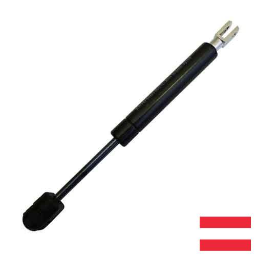 газовая пружина из Австрии