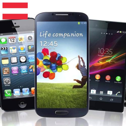 Иммобилайзеры из Австрии