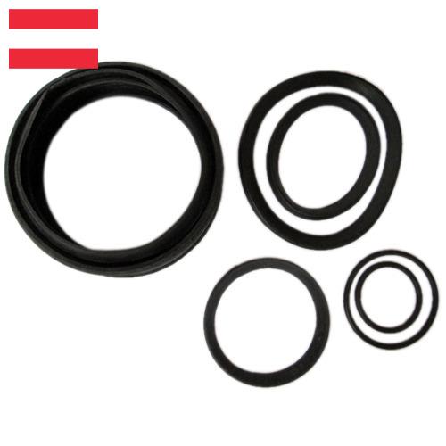 Изделия резинотехнические из Австрии