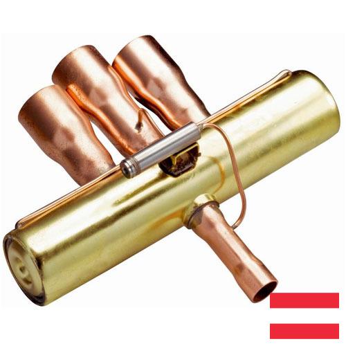 клапан обратный поворотный из Австрии