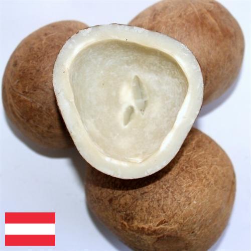 Кокос сушеный из Австрии