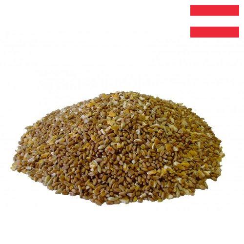 Корма для птицеводства из Австрии