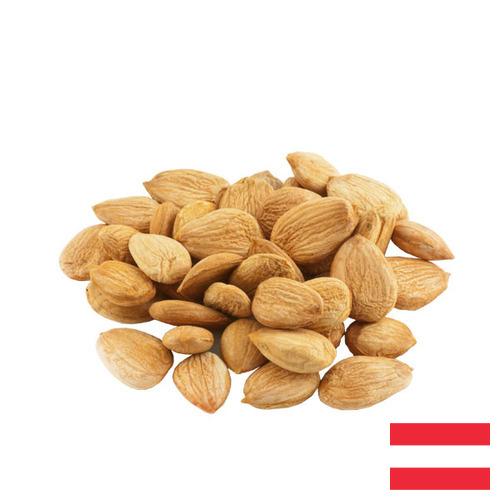 косточки абрикоса из Австрии