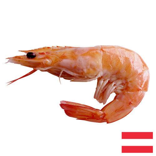 Креветки из Австрии