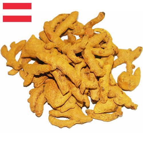 Куркума из Австрии