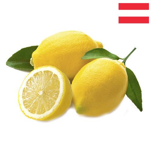 лимон свежий из Австрии