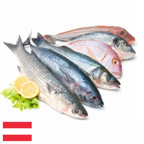 Морепродукты из Австрии