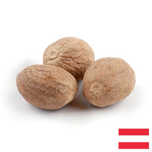 Мускатный орех из Австрии