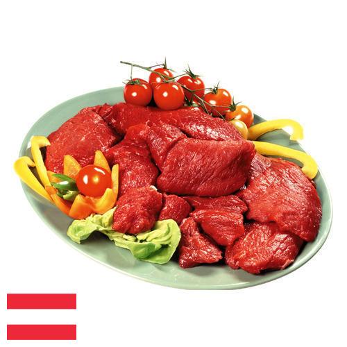 Мясные полуфабрикаты из Австрии