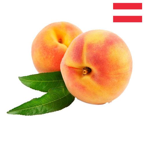 Персики из Австрии