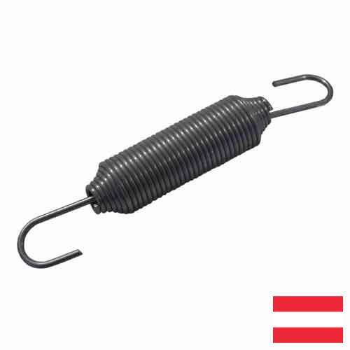 Пружина возвратная из Австрии