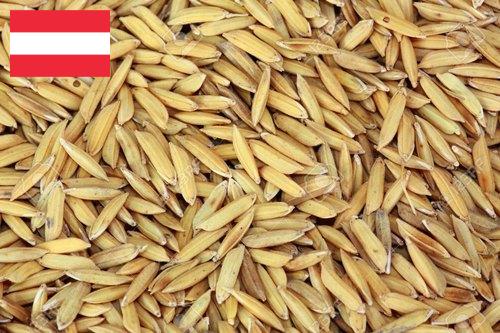 рис сырец из Австрии