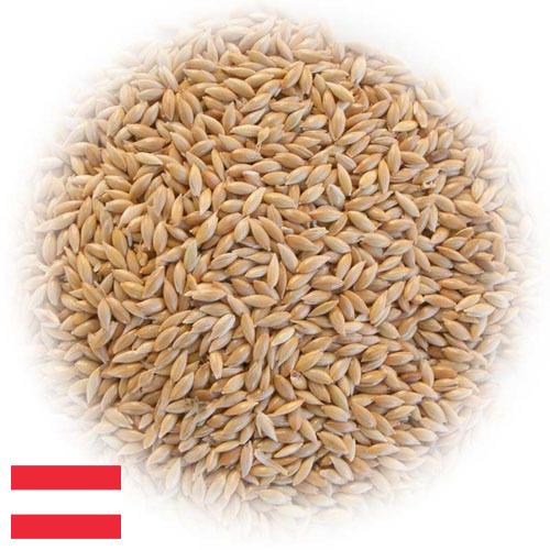 семена трав из Австрии