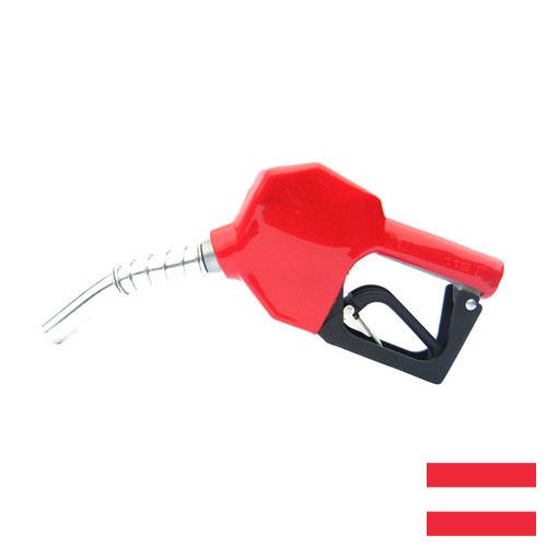 Сопло газовое из Австрии