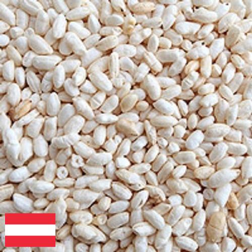 Воздушный рис из Австрии
