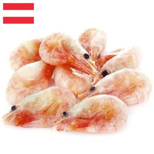 замороженные креветки из Австрии