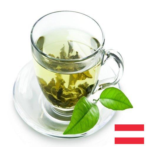 Зеленый чай из Австрии