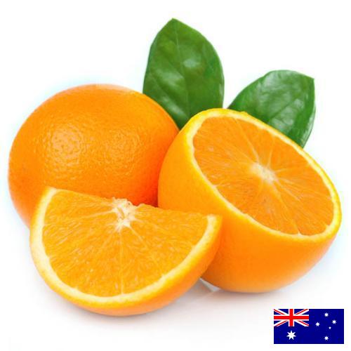 апельсины свежие из Австралии