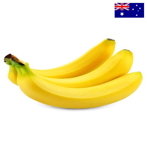 Бананы из Австралии