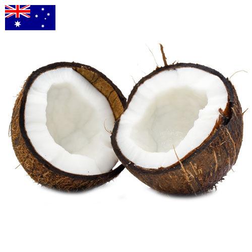 Кокосы из Австралии