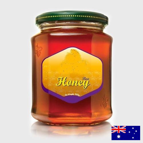 мед натуральный из Австралии