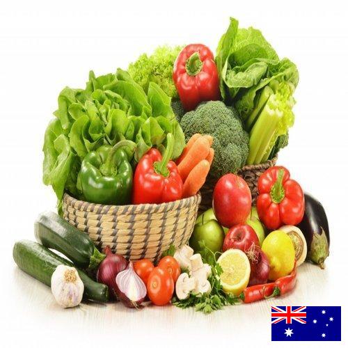 Овощи свежие из Австралии