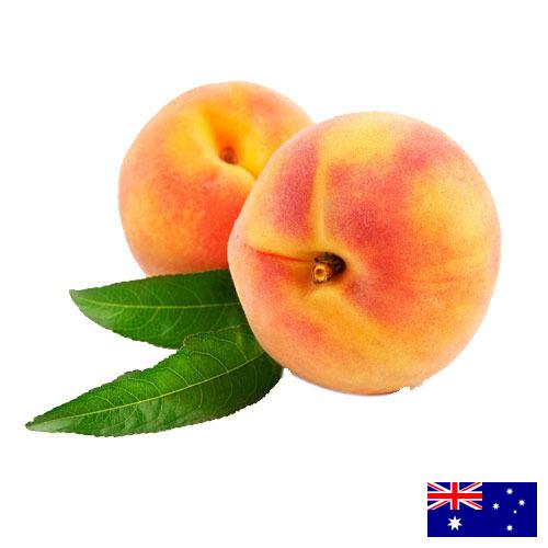 Персики из Австралии