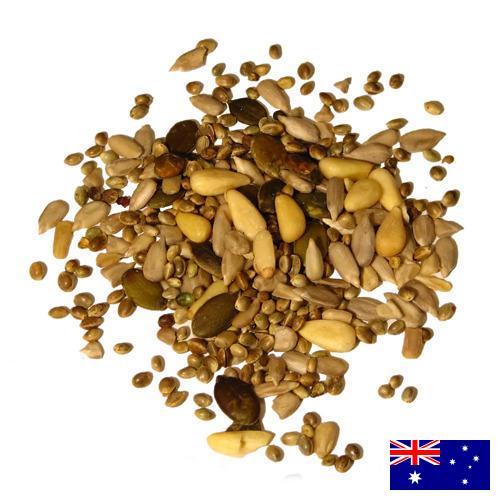 Семена из Австралии