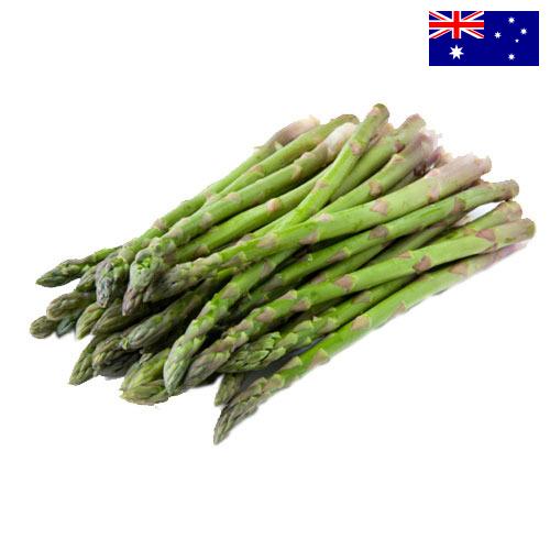 Спаржа из Австралии