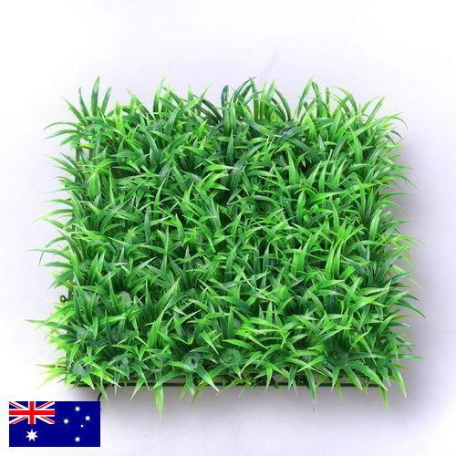 Трава искусственная из Австралии