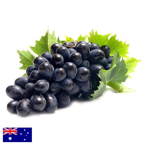 Виноград из Австралии