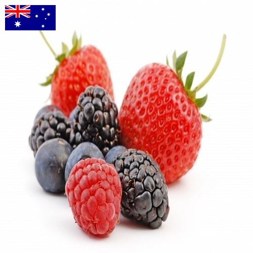 Ягоды из Австралии