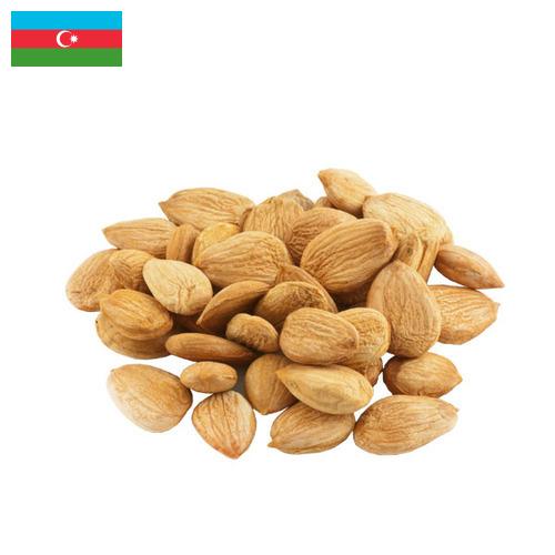 Абрикосовые косточки из Азербайджана