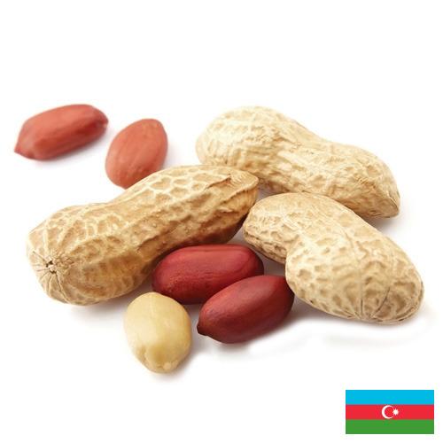 арахис очищенный из Азербайджана