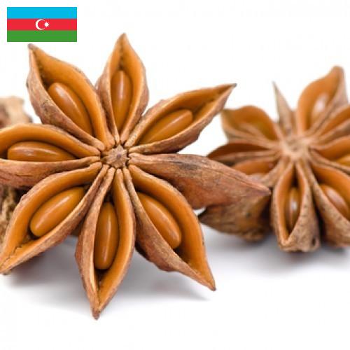 Бадьян из Азербайджана