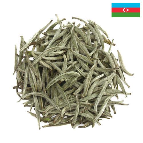 Белый чай из Азербайджана