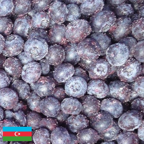 черника замороженная из Азербайджана