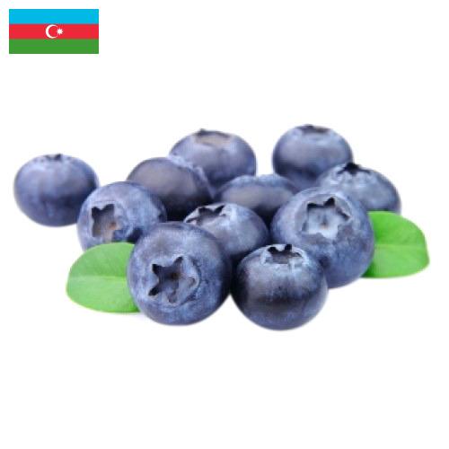 Черника из Азербайджана