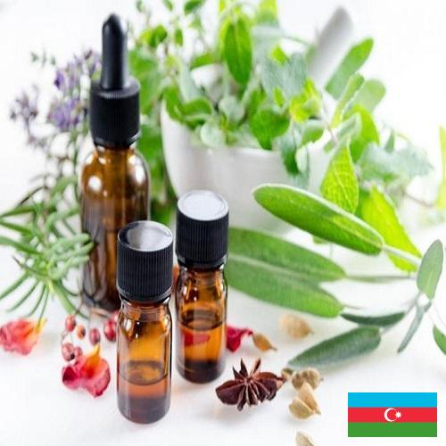 Эфирные масла из Азербайджана