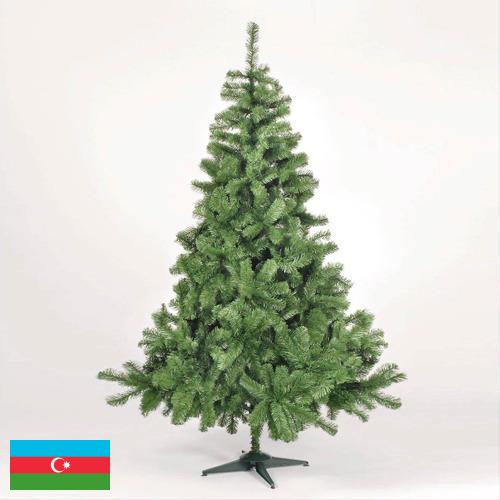 Елки искусственные из Азербайджана