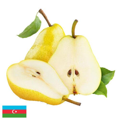 Груши из Азербайджана