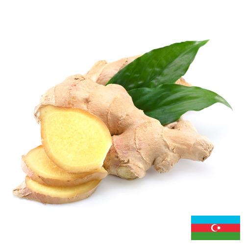 Имбирь из Азербайджана