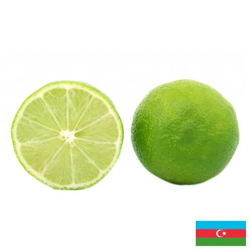 Известь из Азербайджана