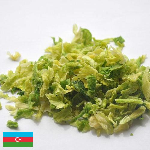 капуста сушеная из Азербайджана
