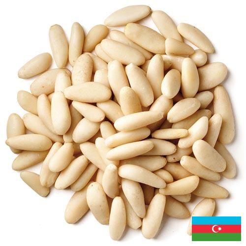 Кедровые орехи из Азербайджана
