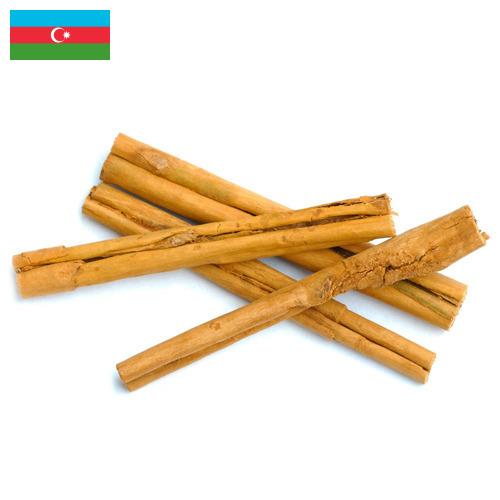 Корица из Азербайджана