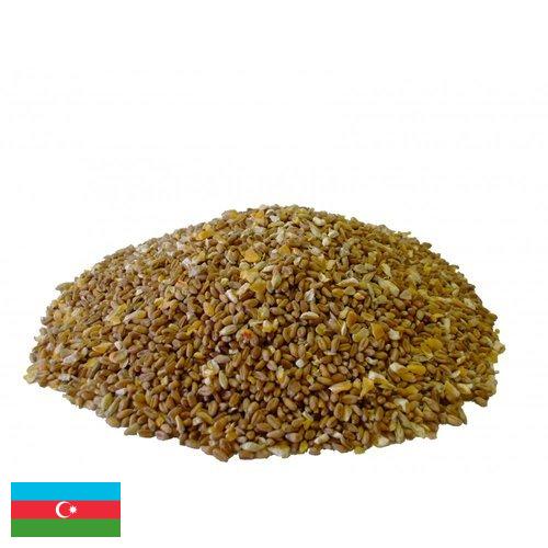 Корма для птицеводства из Азербайджана