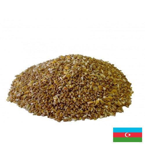 Корма для птицы из Азербайджана