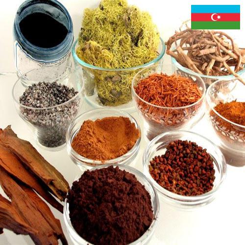 Красители натуральные из Азербайджана