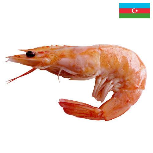 Креветки из Азербайджана
